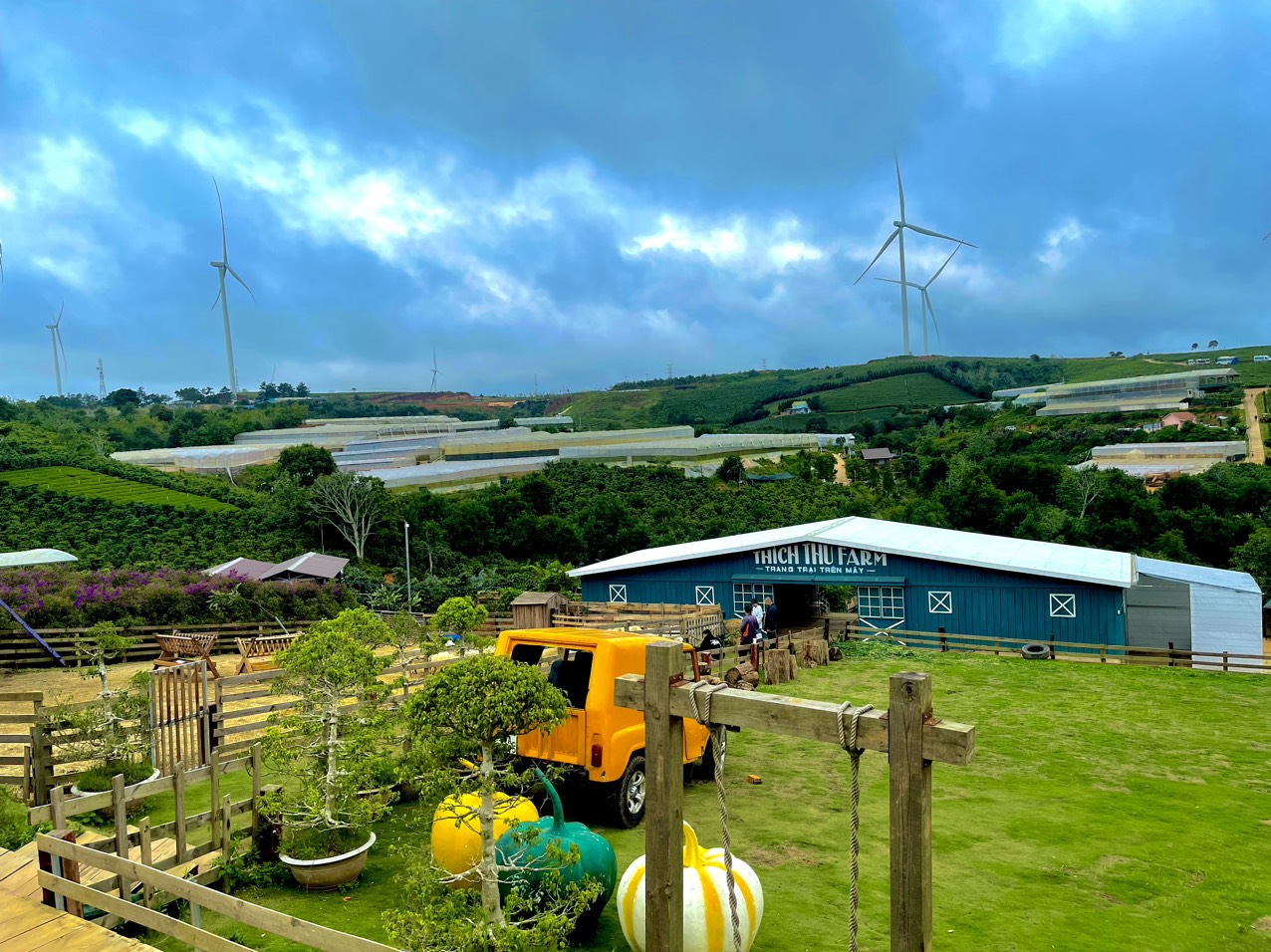 Dịch vụ cho thuê xe ô tô giá rẻ cần thơ